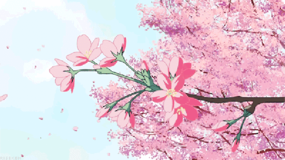 6.gif